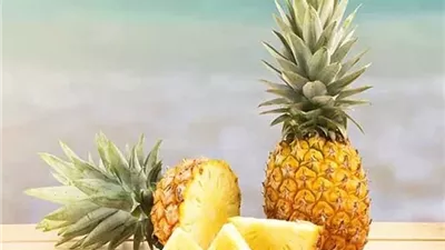 أفضل وقت لتناول الأناناس لتحسين الهضم.. أخصائية تغذية توضح السبب