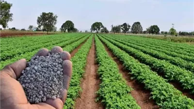 مطالب برلمانية لدعم الفلاح وخفض تكاليف الإنتاج