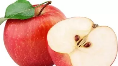 خبيرتان تكشفان فوائد التفاح للهضم.. هل تمتد فوائده إلى بذوره؟
