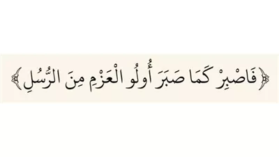 الصبر وجهاد النفس من الدروس المستفادة من ذكرى المولد النبوي