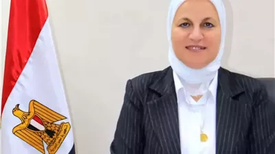 مدير 