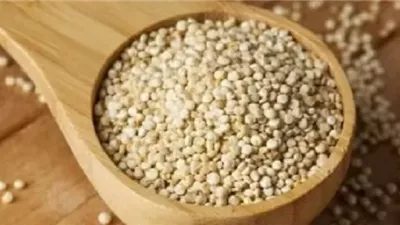 الكينوا.. فوائد غذائية كبيرة ومشكلة قد تواجه أصحاب المعدة الحساسة