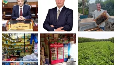 محافظ المنوفية: 760 ألف جنيه قروض ميسرة لتمويل 38 مشروعًا للشباب