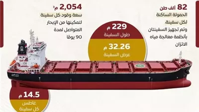 مجلس الوزراء يكشف مواصفات سفينتي الصب الجاف الجديدتين