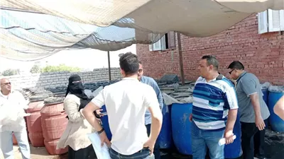 ضبط 30 طن مخلل زيتون فاسد في الإسماعيلية..صور