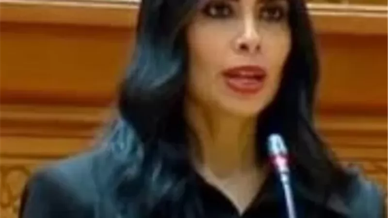 النائبة هايدي المغازي