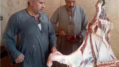 تكثيف الرقابة البيطرية على مجازر اللحوم في أسيوط