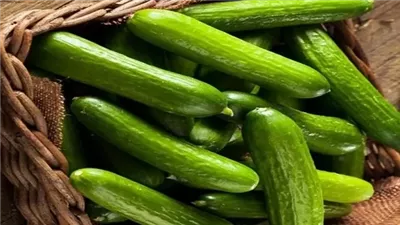 الخيار.. 7 فوائد صحية تجعله أكثر من مجرد خضار على مائدتك