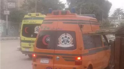 مصرع ميكانيكى على يد موظف بسبب خلافات الجيرة بالمنوفية