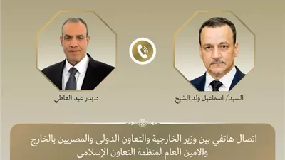 وزير الخارجية يجري اتصالا هاتفيا مع أمين عام منظمة التعاون الإسلامي