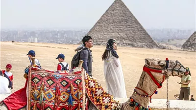 استطلاع 