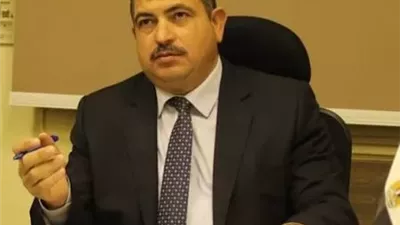 خبير اقتصادي: مصر قادرة على سداد التزاماتها.. و«المقايضة الكبرى» لأصول الدولة مرفوضة