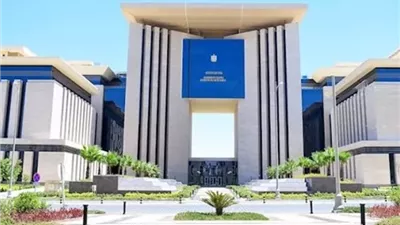 مصر تتابع تطورات الأوضاع في جمهورية النيجر الشقيقة