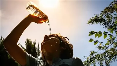 الأرصاد تكشف تفاصيل طقس الاثنين.. حرارة ورطوبة وشبورة مائية