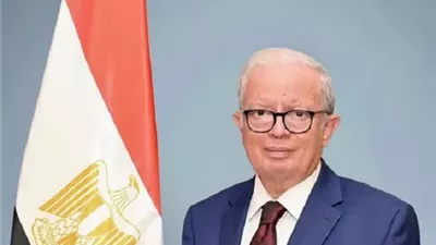 نائب رئيس الوزراء يصل قيرغيزستان للمشاركة في قمة «شنغهاي»
