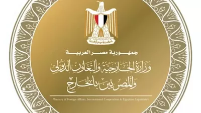 وزير الخارجية يؤكد موقف مصر الداعم لتسوية سياسية الأزمة الأوكراني