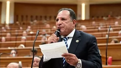 أبو هميلة: زيارة الرئيس الصيني لمصر محطة استراتيجية لتعميق الشراكة وتعزيز الأمن القومي العربي
