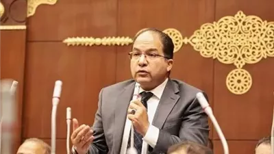 النائب عادل اللمعي: زيارة الرئيس الصيني لمصر دعم قوي لدور القاهرة المحوري في الشرق الأوسط وأفريقيا