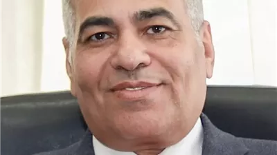 د.عبدالنبى عبدالمطلب لـ