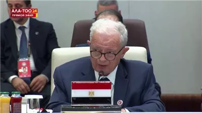 نائب رئيس الوزراء يلقي كلمة مصر أمام قمة شنغهاي للتعاون في بيشكيك