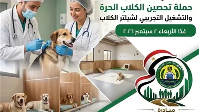 غدا..التشغيل التجريبي لشيلتر الكلاب بالإسماعيلية