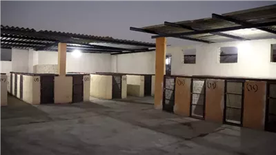 محافظ الإسماعيلية يتفقد أكبر شيلتر للكلاب الحرة بالتل الكبير