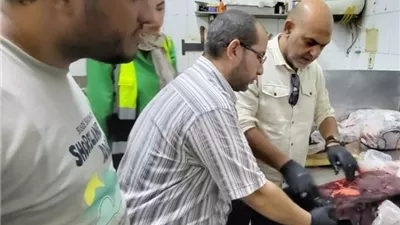ضبط 780 كيلو لحوم فاسدة ومذبوحة خارج المجازر في شبرا الخيمة