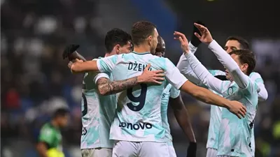 دجيكو يعلن اعتزال اللعب الدولي مع البوسنة والهرسك