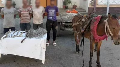 ضبط عصابة عربة الكارورو المتهمة بسرقة كابل اتصالات بالسويس