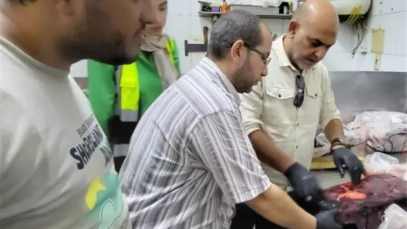 الطب البيطري بالقليوبية
