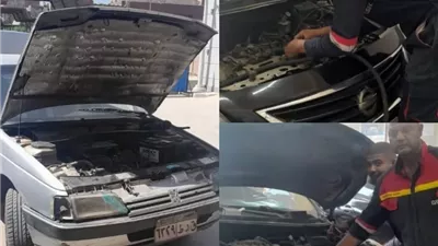 تحول أخضر بجامعة بنها.. بدء تحويل أسطول السيارات للعمل بالغاز الطبيعي