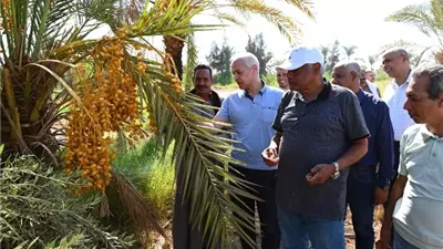 رئيس جامعة أسيوط يتفقد مزارع الجامعة بالوادي الأسيوطي والغريب