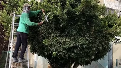 السويس تواصل أعمال التجميل ورفع كفاءة المدارس