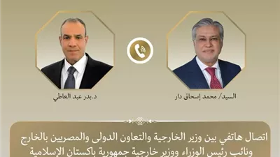 وزير الخارجية ونظيره الباكستاني يبحثان هاتفيا التطورات الإقليمية