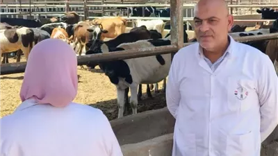 تحصين 81 ألف رأس ماشية ضد الحمى القلاعية والوادي المتصدع بالقليوبية