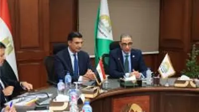 الصناعة والجيزة تبحثان تقنين أوضاع مستثمري جرزا وعرب أبوساعد