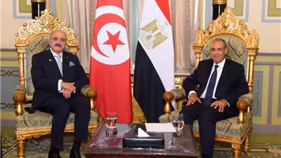 وزير الخارجية يلتقي نظيره التونسي بالقاهرة