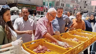 تحرير 4664 مخالفة تموينية وضبط 56 طن لحوم ودواجن وأسماك