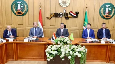 محافظ المنوفية : مهلة 3 أشهر لتقنين المصانع المؤجرة من الباطن