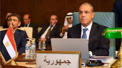 وزير الخارجية: القضية الفلسطينية تظل جوهر الأمن والاستقرار في المنطقة