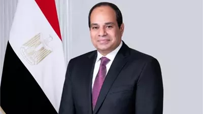 الرئيس السيسي يفتتح معرض العلمين الدولي للطيران والفضاء