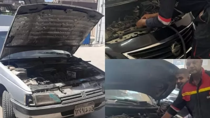 تحول أخضر بجامعة