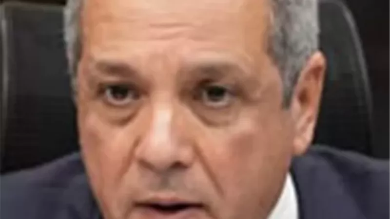 النائب أحمد حلمى