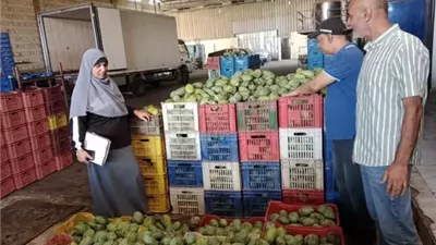 ضبط 6 أطنان فراولة ومانجو بدون بيانات في ثلاجة بالإسماعيلية