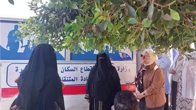 تكثيف خدمات الصحة الإنجابية في الإسماعيلية..صور