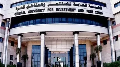 استثمارات إماراتية جديدة في قطاع الصناعات الغذائية بمصر