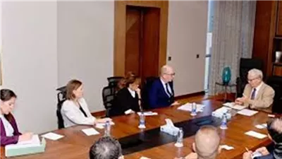مصر والبنك الأوروبي يعززان التعاون في الطاقة الخضراء
