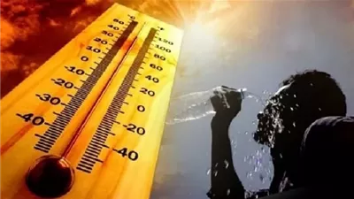 الأرصاد تحذر من شبورة كثيفة وطقس شديد الحرارة غدًا الأربعاء