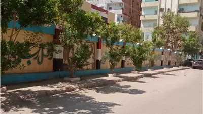 نظافة وتشجير محيطات مدارس الإسماعيلية في العام الجديد..صور