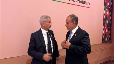 وزير الخارجية يلتقي نظيره الهندي
